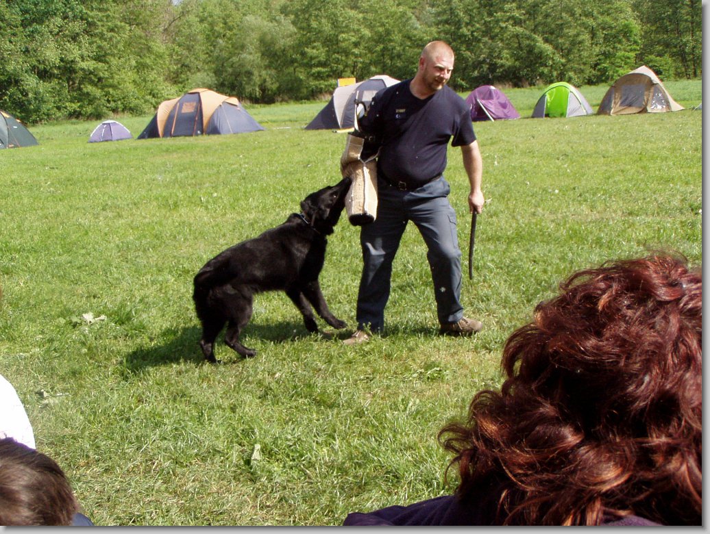 Další snímek