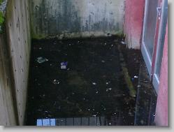 Snimek_03 * 2048 x 1536 * (1.09MB)