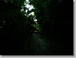 Snimek_02 * 2048 x 1536 * (1.28MB)
