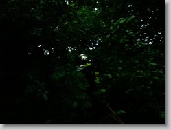 Snimek_05 * 2048 x 1536 * (1.45MB)