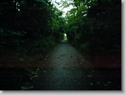Snimek_06 * 2048 x 1536 * (1.36MB)