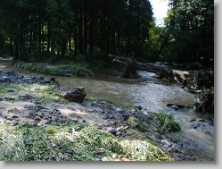 Snimek_29 * 2048 x 1536 * (1.43MB)
